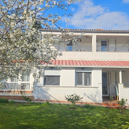 Apartments Betty Borik ロヴィニ エクステリア 写真