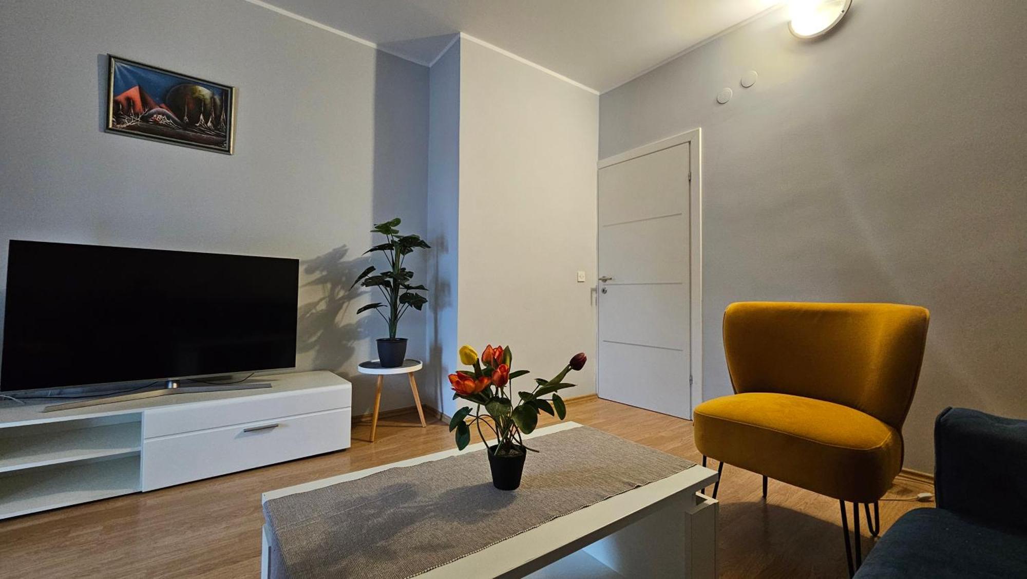 Apartments Betty Borik ロヴィニ エクステリア 写真
