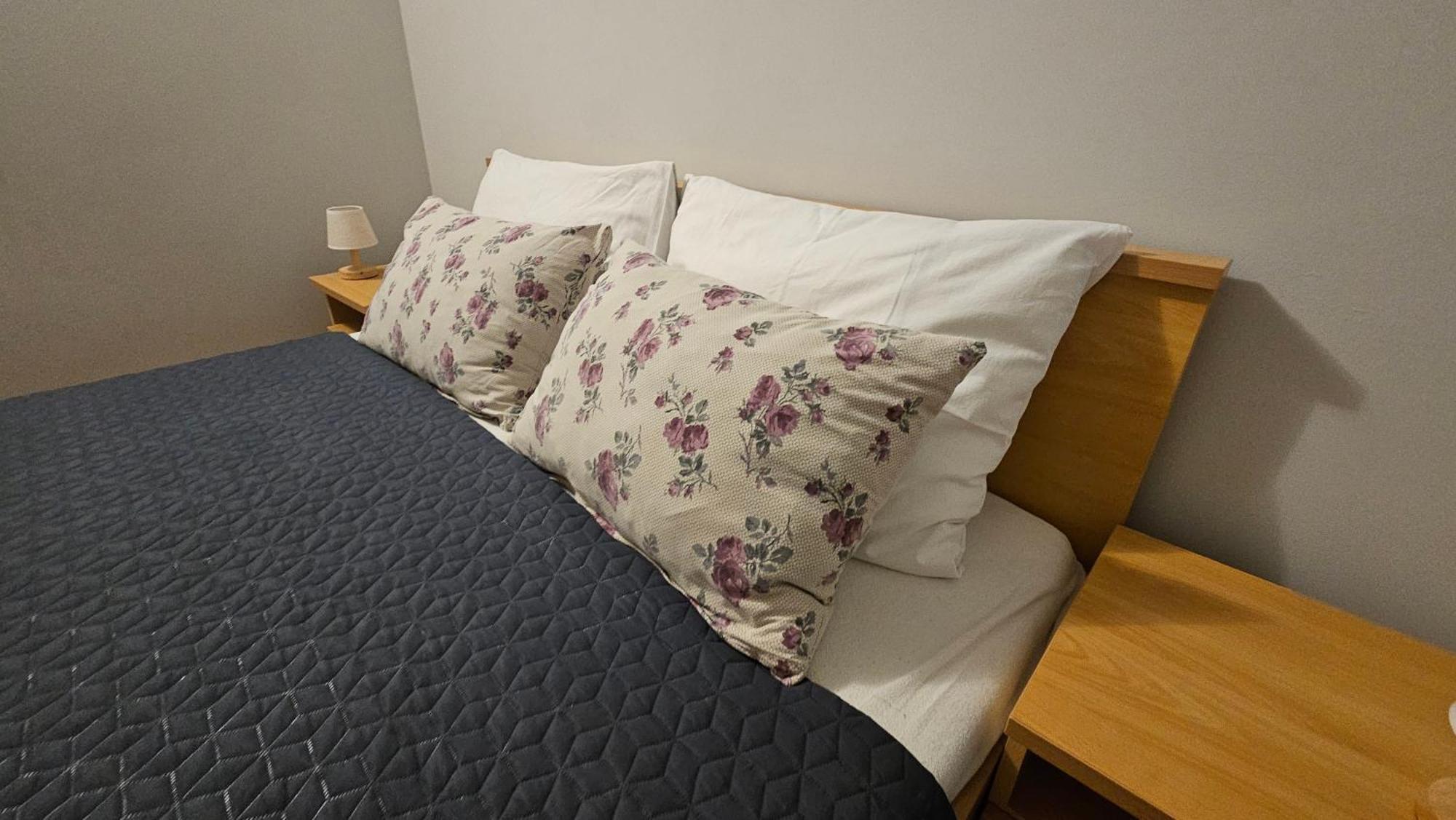 Apartments Betty Borik ロヴィニ エクステリア 写真